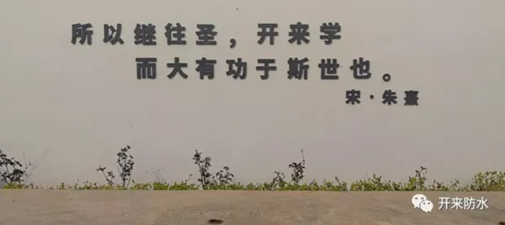 開來濕克威風采